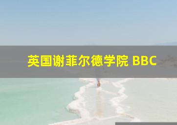 英国谢菲尔德学院 BBC